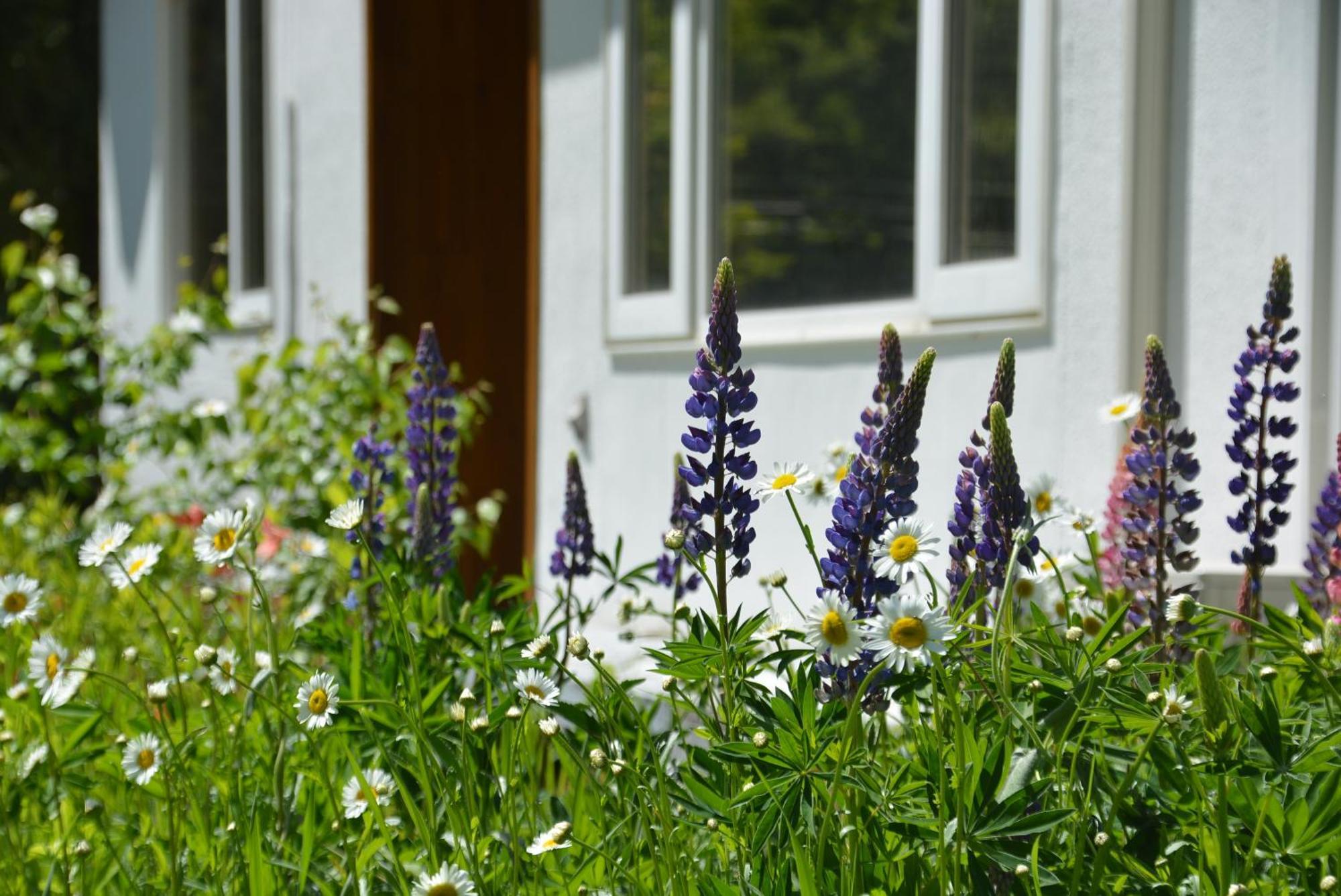 大人数の家族旅行に！bbq Holiday home
